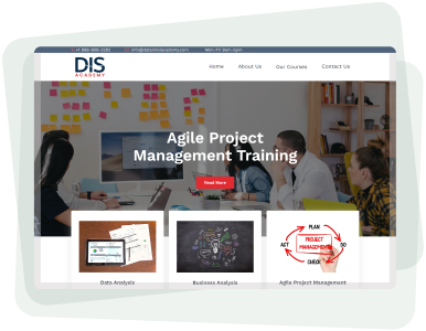 professional website