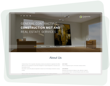 professional website