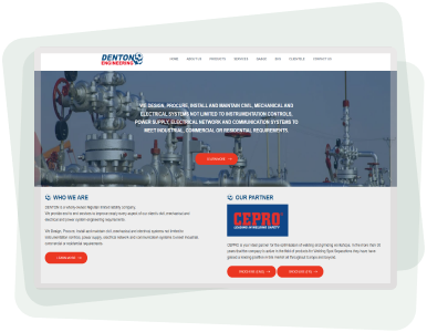 professional website
