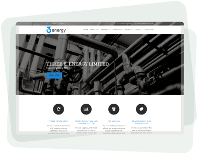 professional website