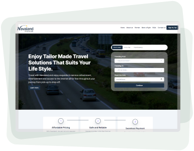 professional website