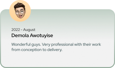 professional website