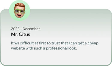 professional website