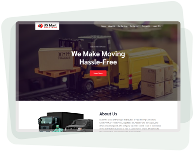 professional website